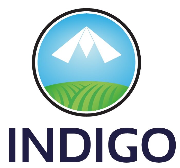 190404-INDIGO+LOGO_REVAMP-02.jpg
