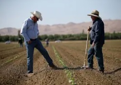 asesoria agricola.jpg