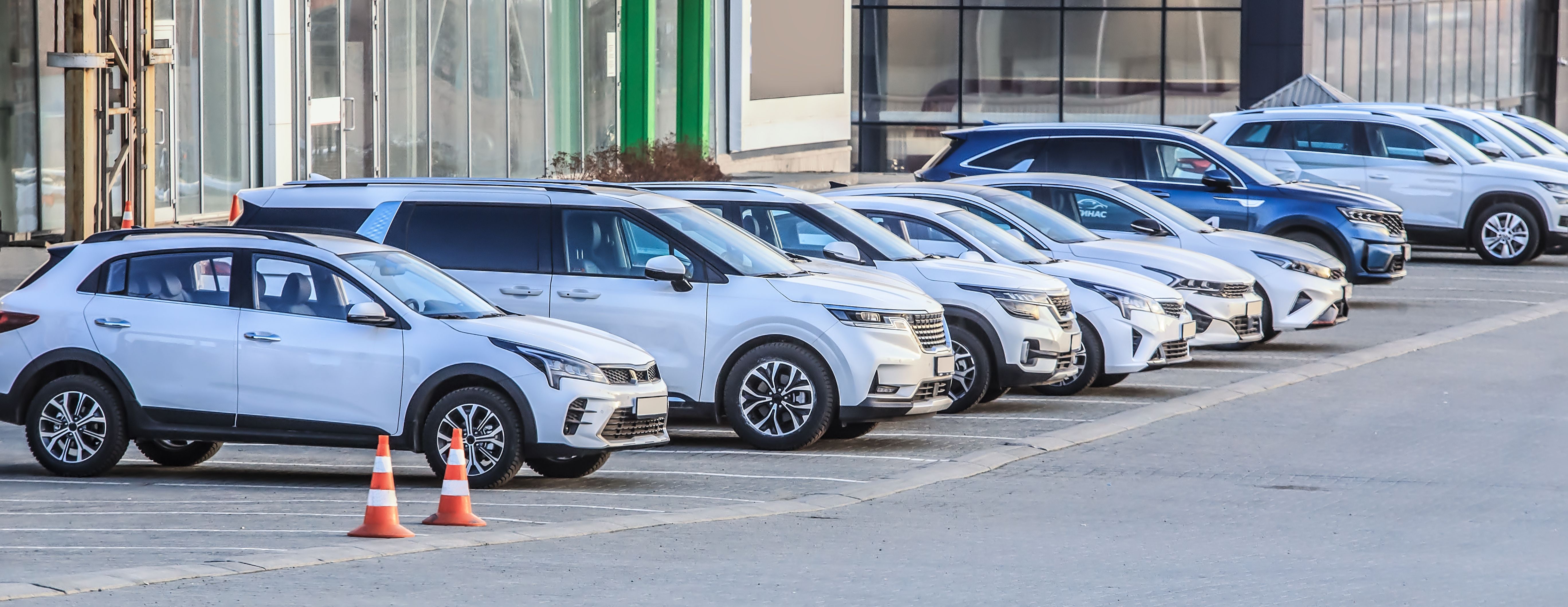 Used Car Pricing Guide: Assessing Risk and Value