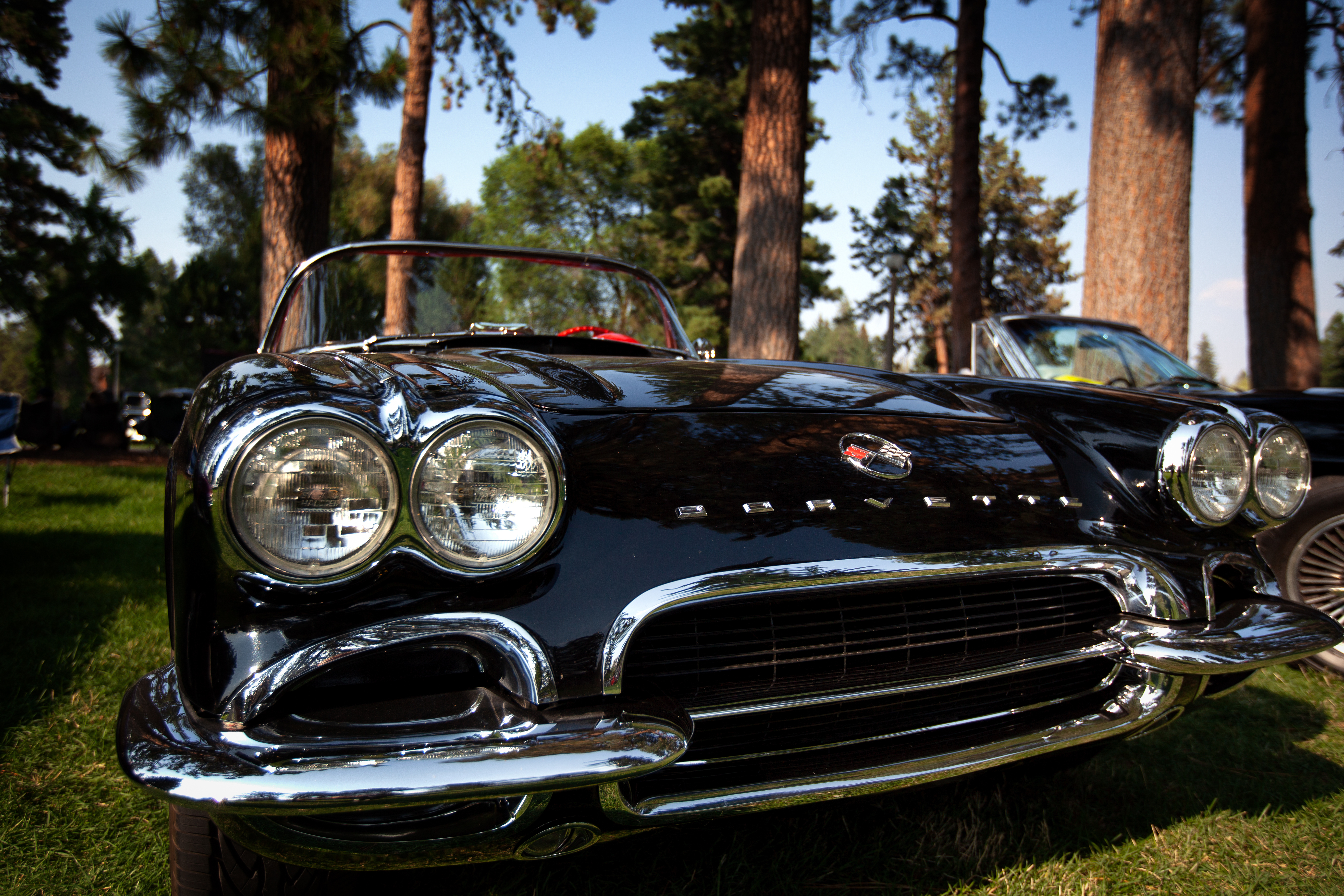 Corvette Museum Expands with New Collections