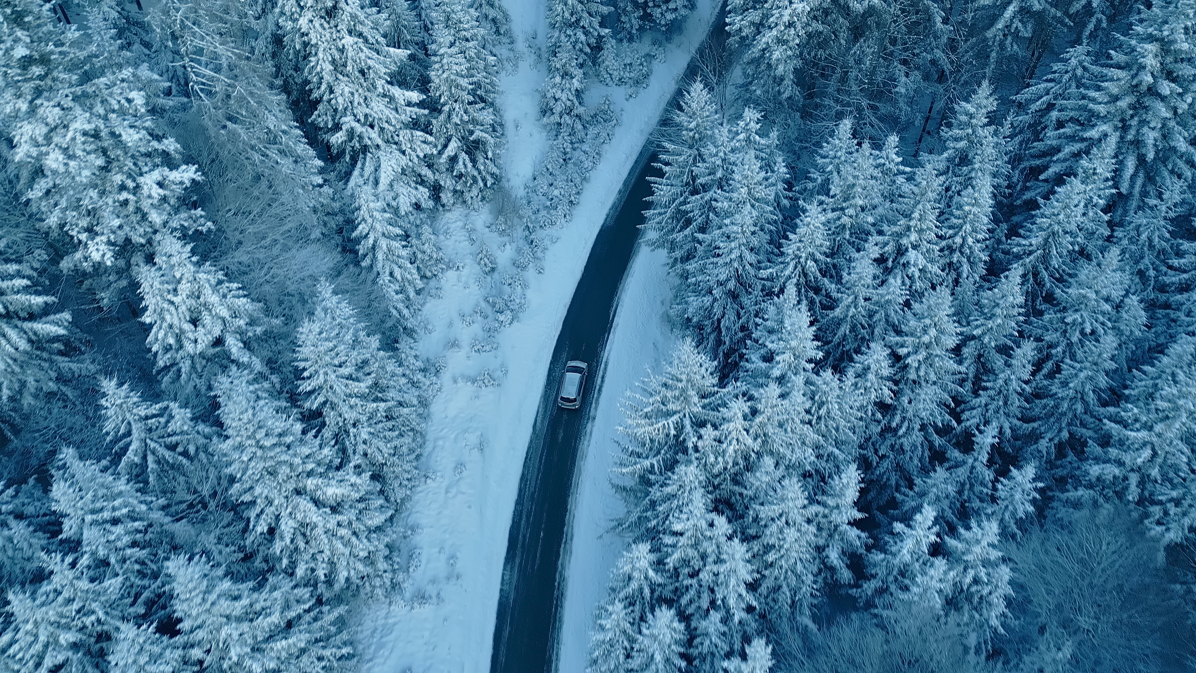 How Local Climate Affects Your Best Car Buying Options