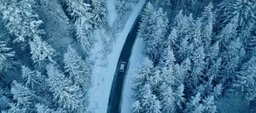 How Local Climate Affects Your Best Car Buying Options