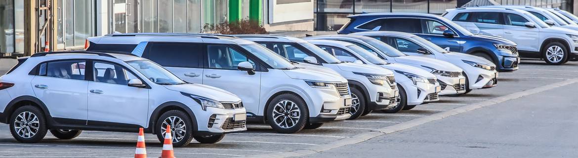 Used Car Pricing Guide: Assessing Risk and Value