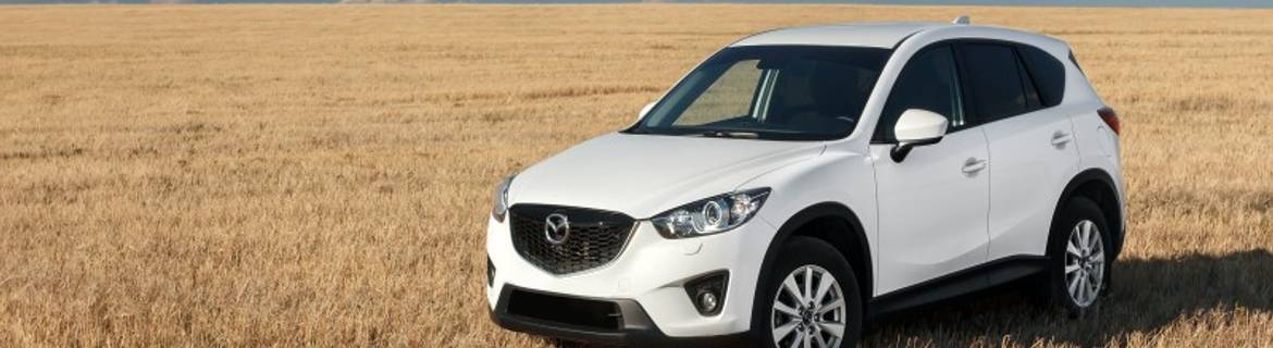 What to Do if You've Been Lied to About Your Used Car