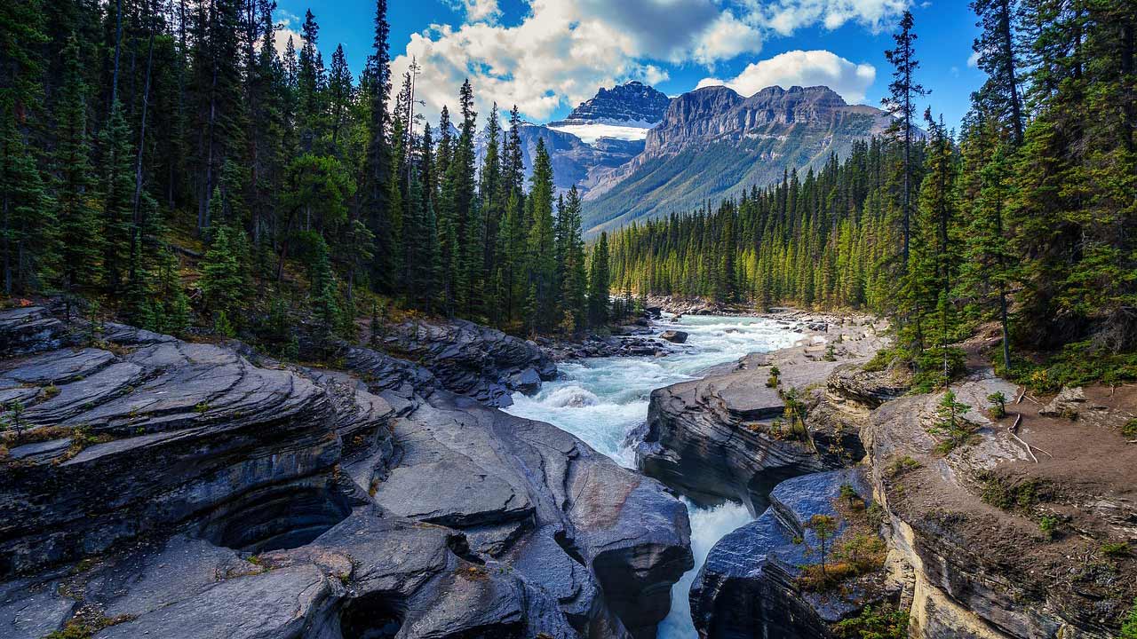 Everything You Need to Know About Water Filters for Camping