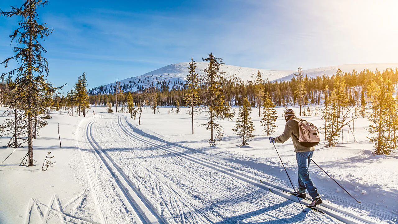 How to Buy Used Cross Country Ski Equipment: Complete Guide