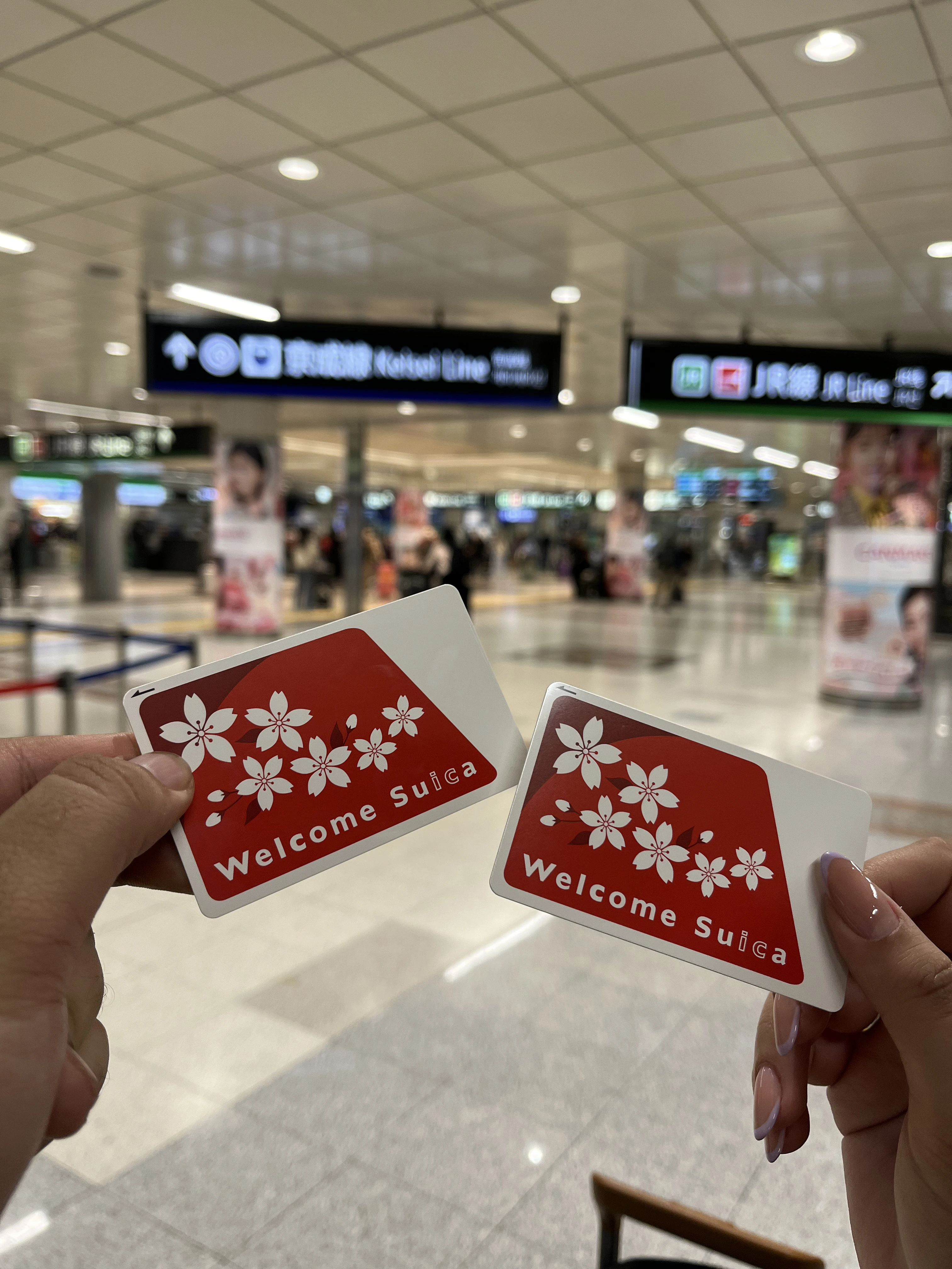suica-cards.webp