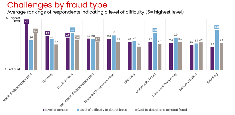 Challenges by fraud type