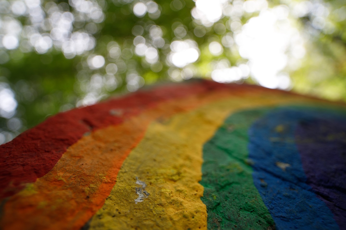 Rainbow in the Woods