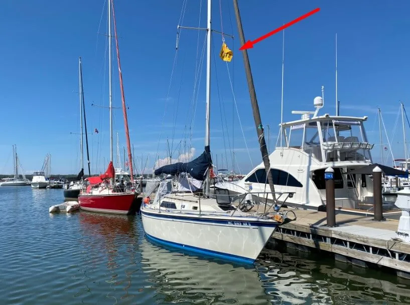 eloxy-with-flag-docked.webp