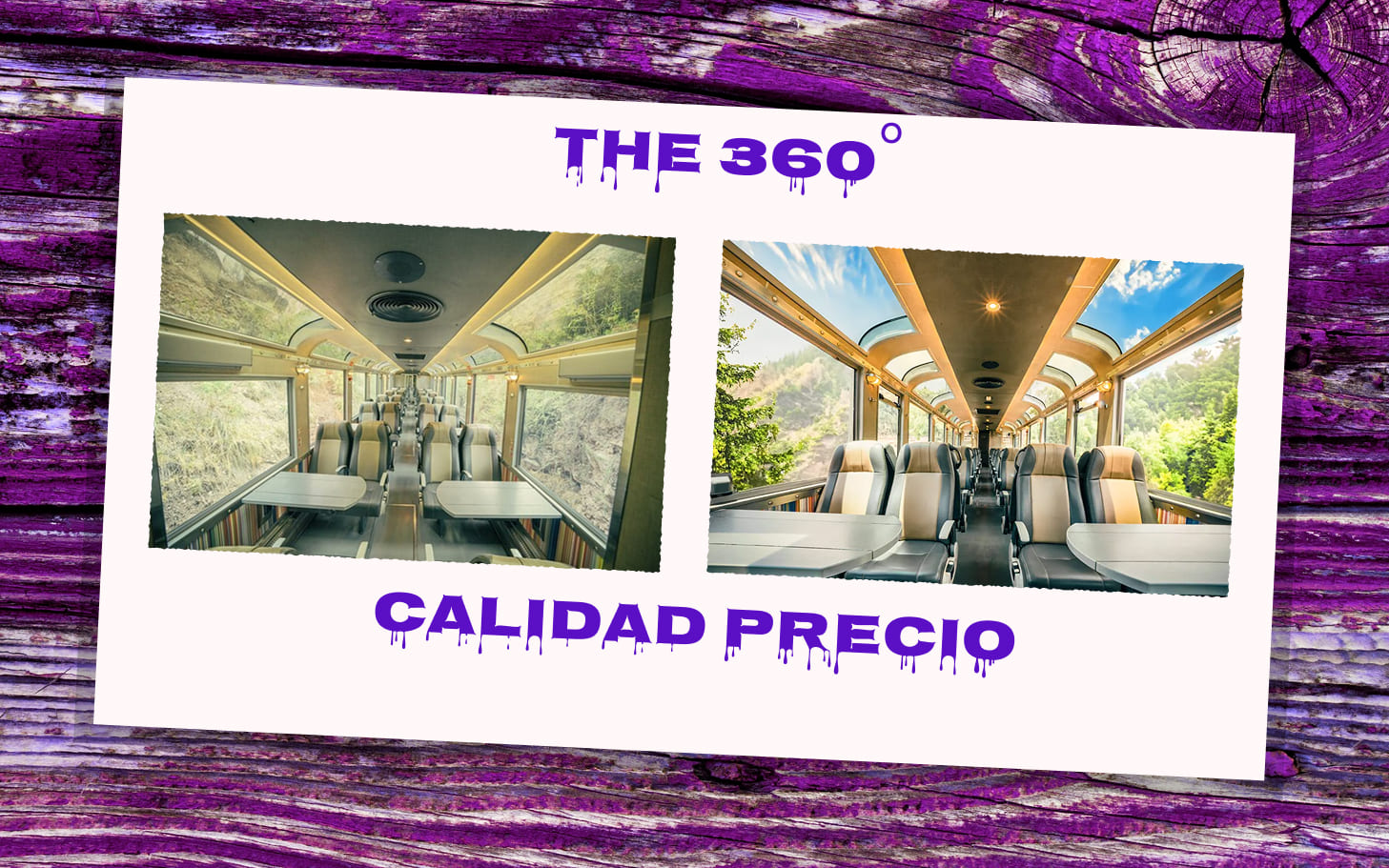 THE 360 en español.jpg