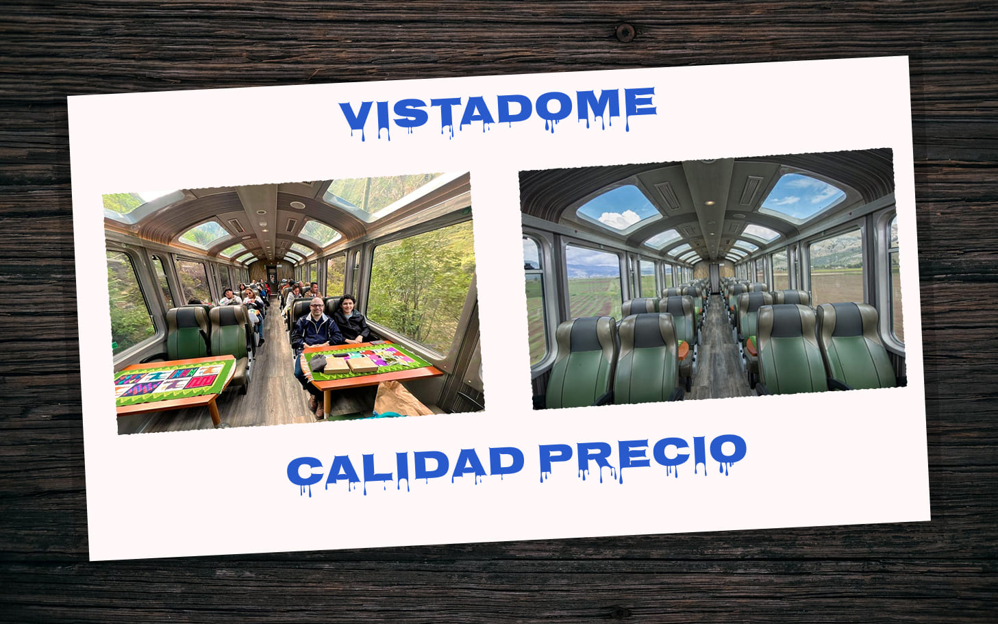 vitadome en español.jpg