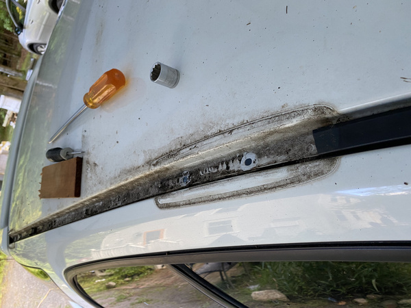 More decomposing leaves in rain gutters