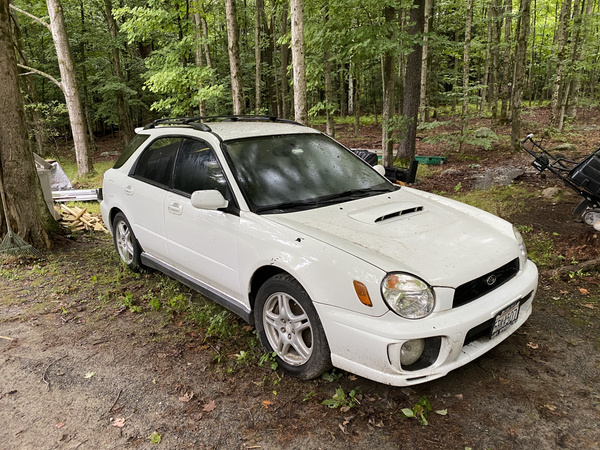 Neglected 2003 WRX Wagon