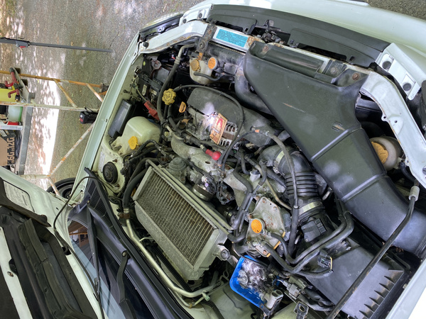 Mouse traps and mouse homes in 2003 Subaru WRX engine bay