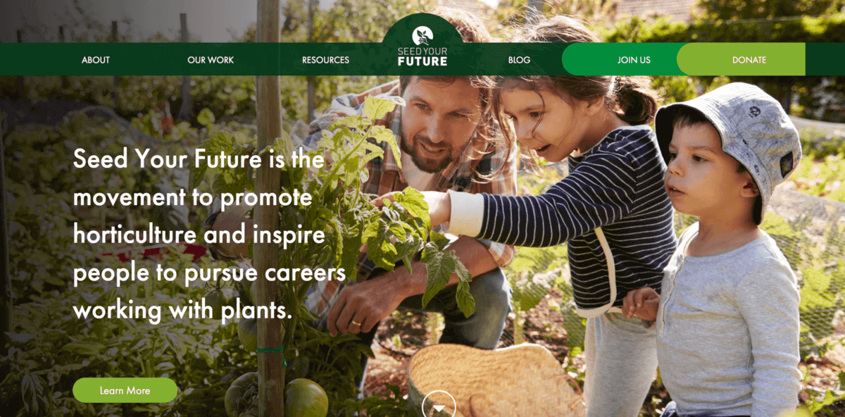 Seed Your Future Case Study's Image