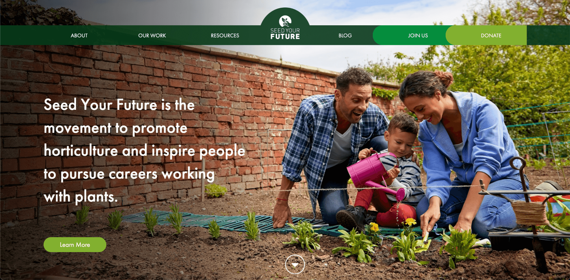Seed Your Future Case Study's Image