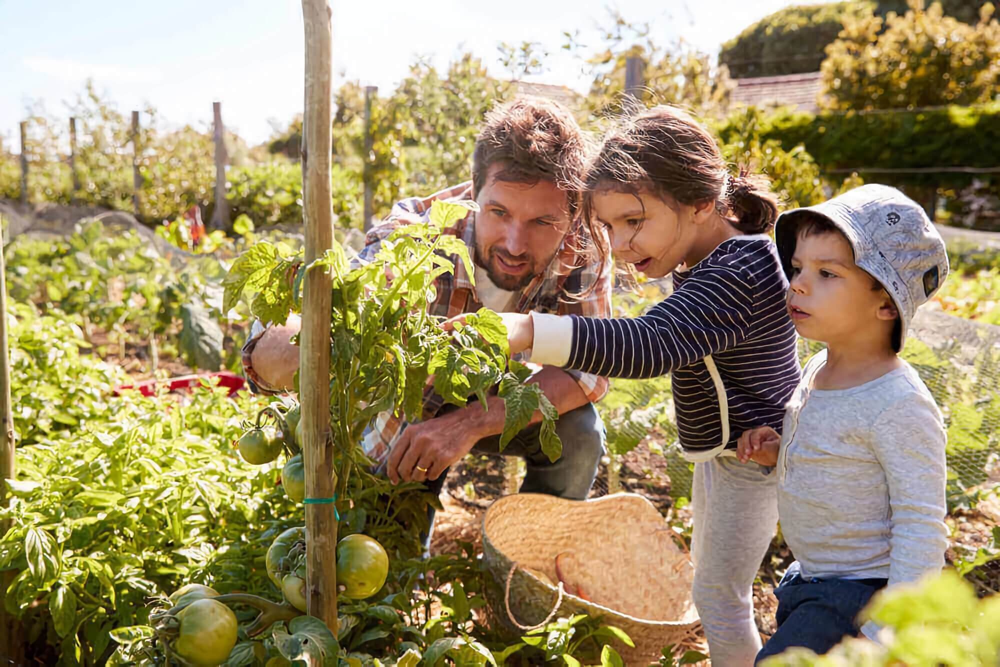 Main Image Case Study: Seed Your Future