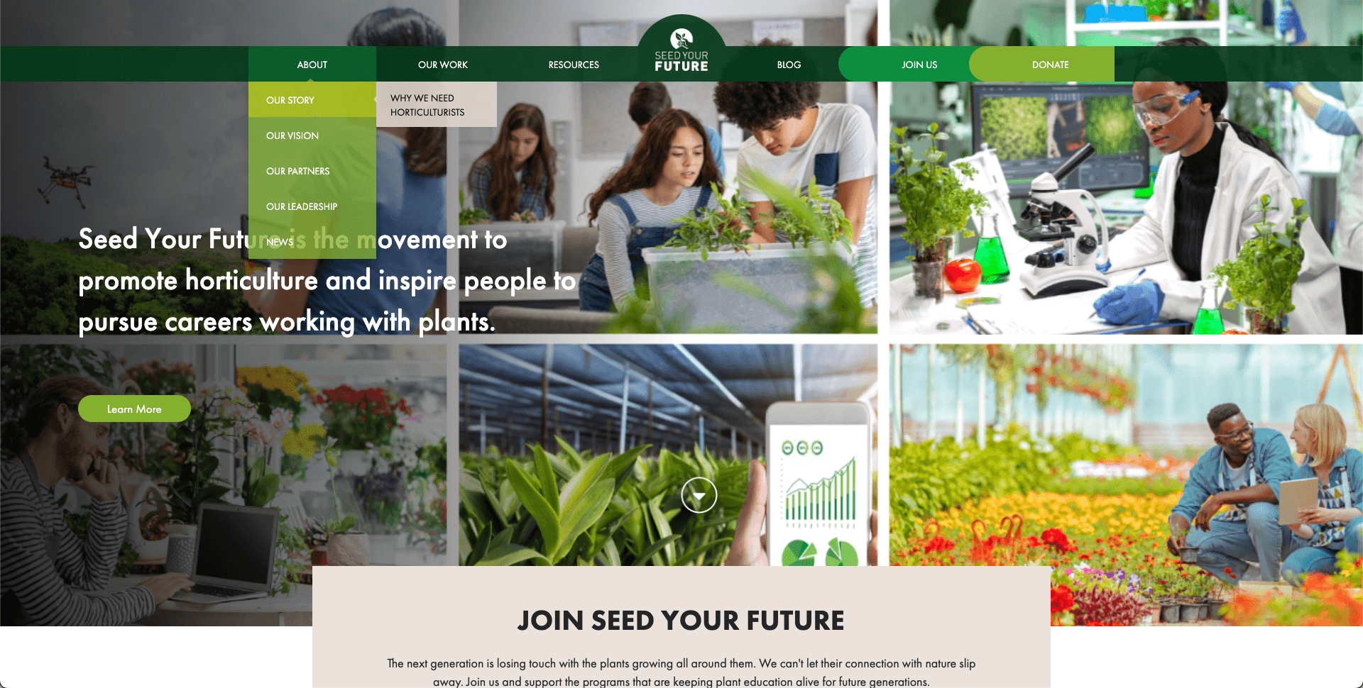 Seed Your Future Case Study's Image