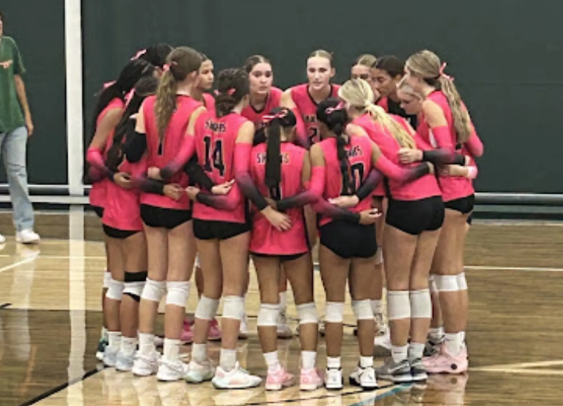 Volleyball team photo 5