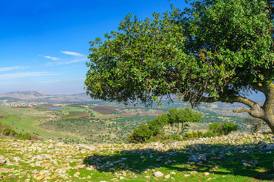 Israel, Land of the Bible Tour Spring 2024 | Events | FFOZ