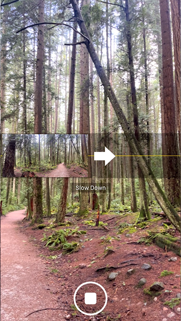 Step 3: Printing Panoramics