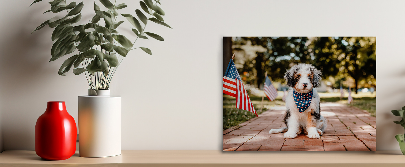 Canvas image of patriotic dog sitting on a path