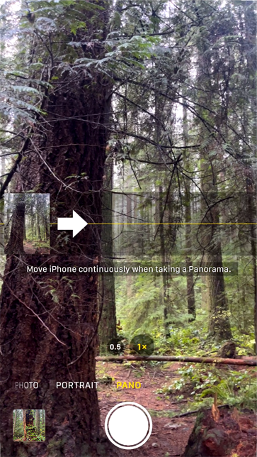 Step 2: Printing Panoramics