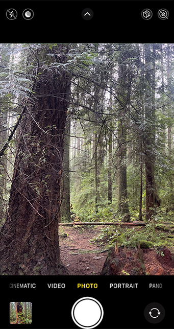 Step 1: Printing Panoramics