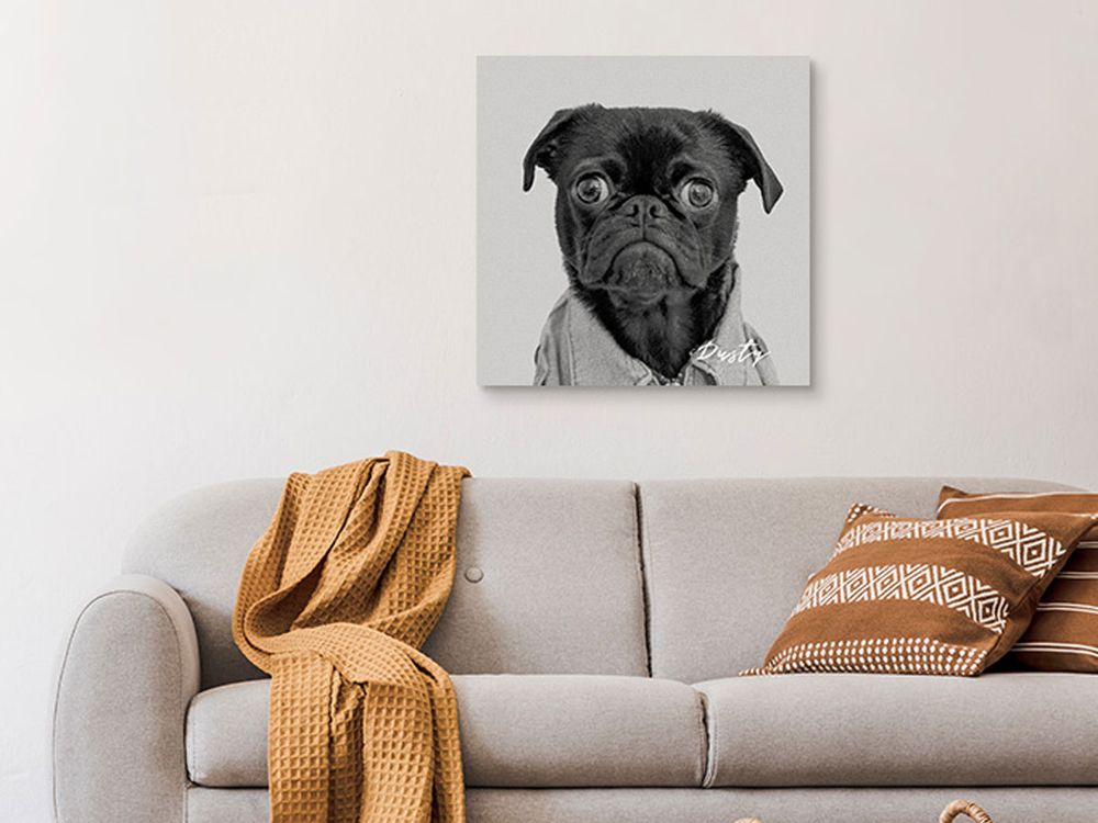 pet-portrait