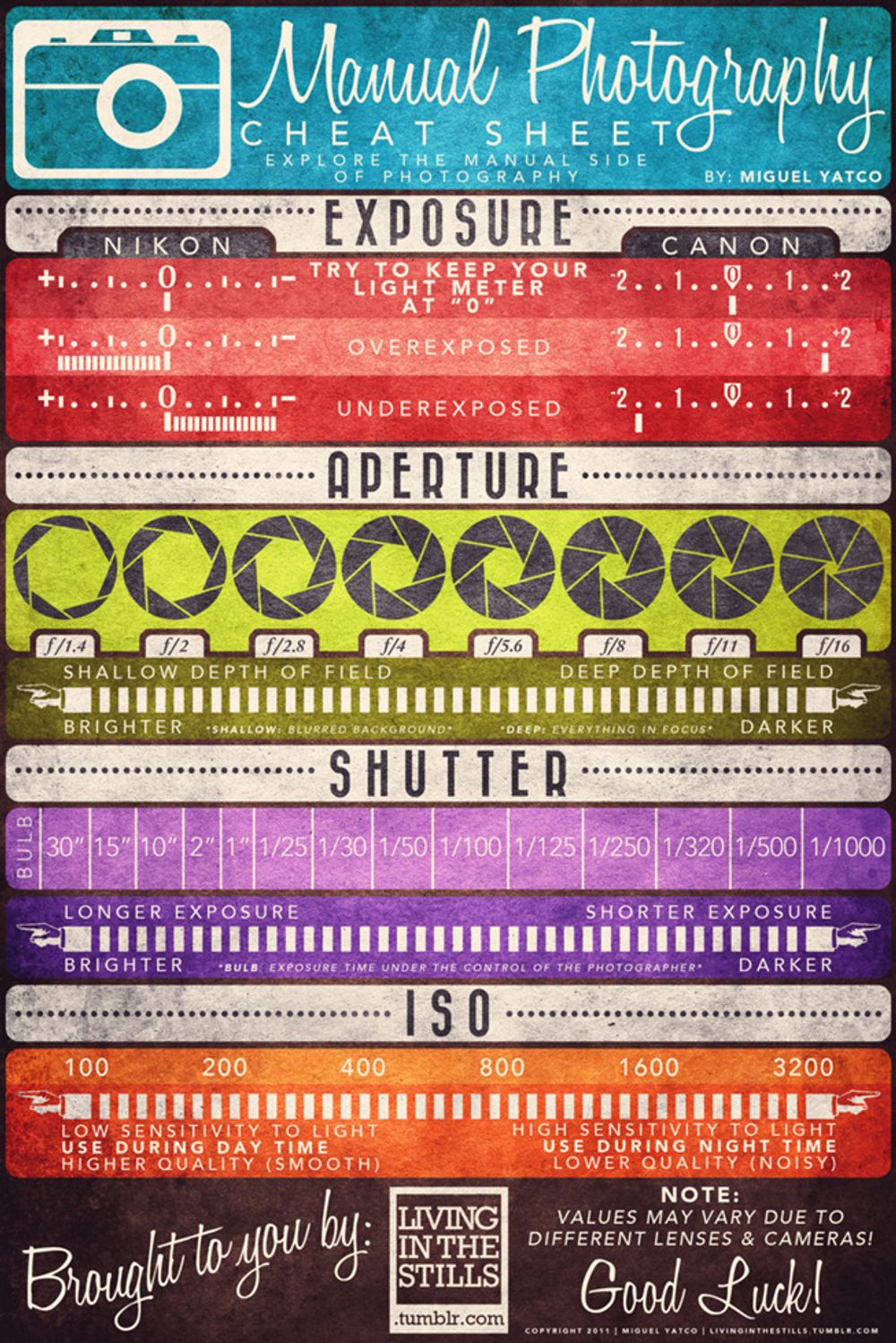 infographic