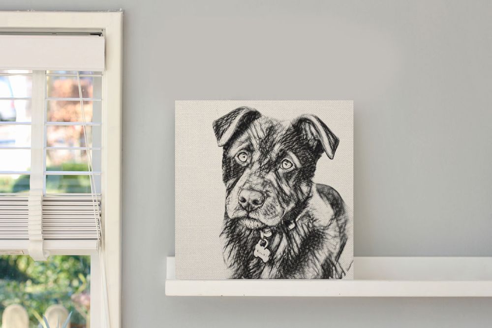 dog-canvas-print