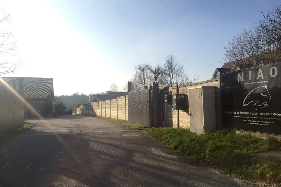 background-1604673522 Cropped.jpg