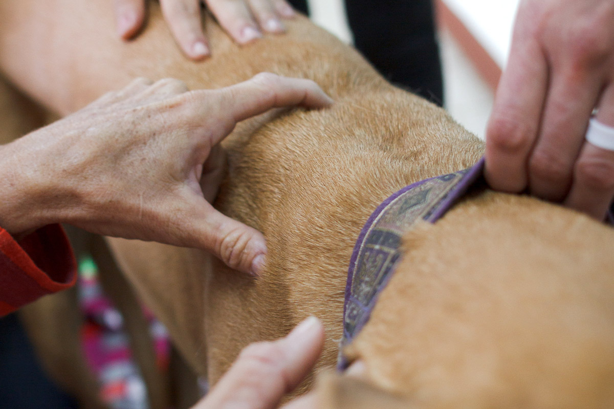 IMG_8462 Cropped.jpg