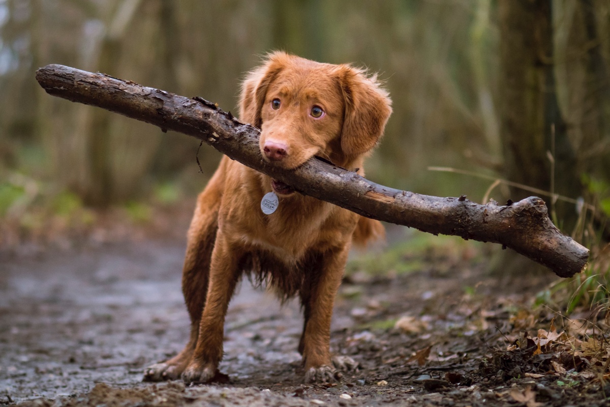 jamie-street-uNNCs5kL70Q-unsplash Cropped.jpg