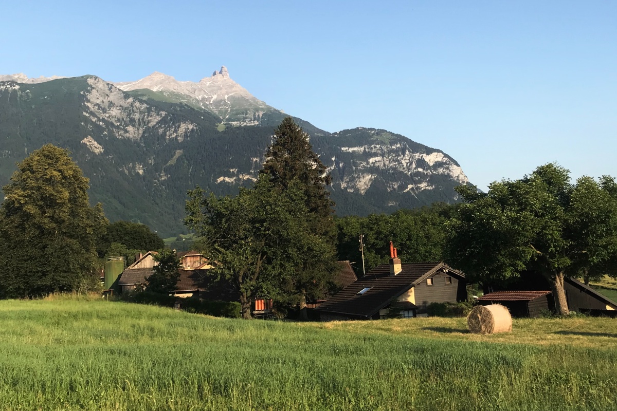 olivier-genolet-IYuHS6LghvI-unsplash Cropped.jpg