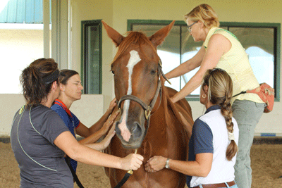 IMG_0508 Cropped.png