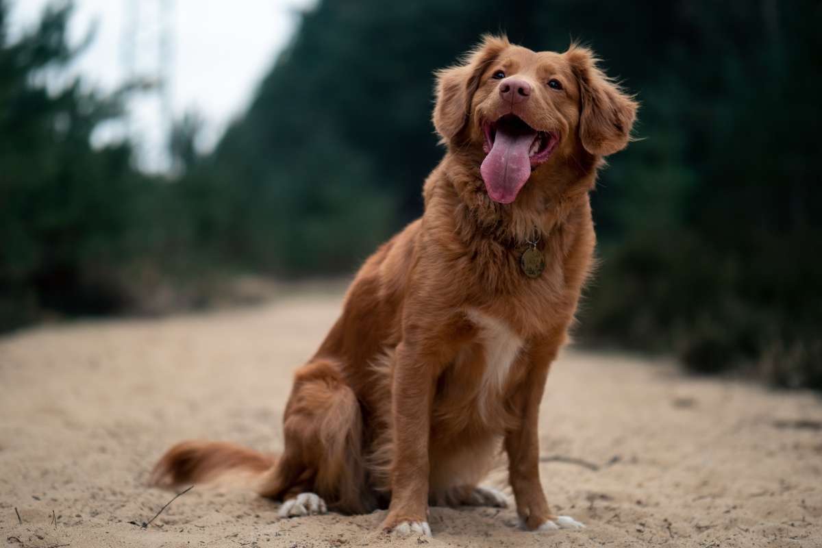 jamie-street-lK6EwI6l6S8-unsplash Cropped.jpg