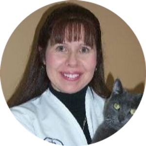 Tami Shearer