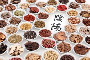 Herbs used during the Herbal Medicine Certification Set