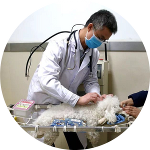 庞海东 - Haidong Pang