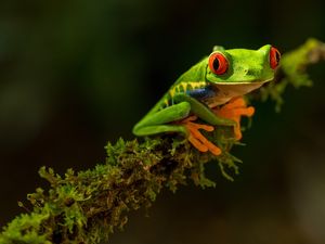 Costa Rica Cover Image