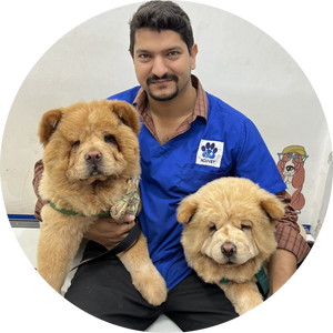 Dr. Akshay Shah