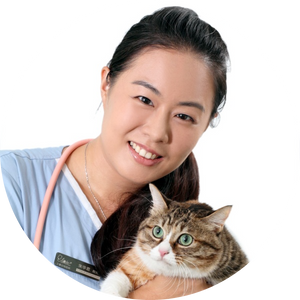 朱华君 Huajun Zhu