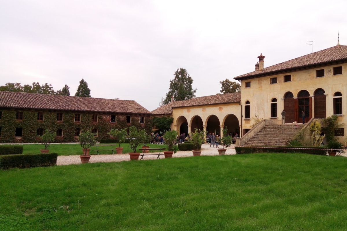 Screen Shot 2021-03-19 at 12.52.14 PM Cropped.png