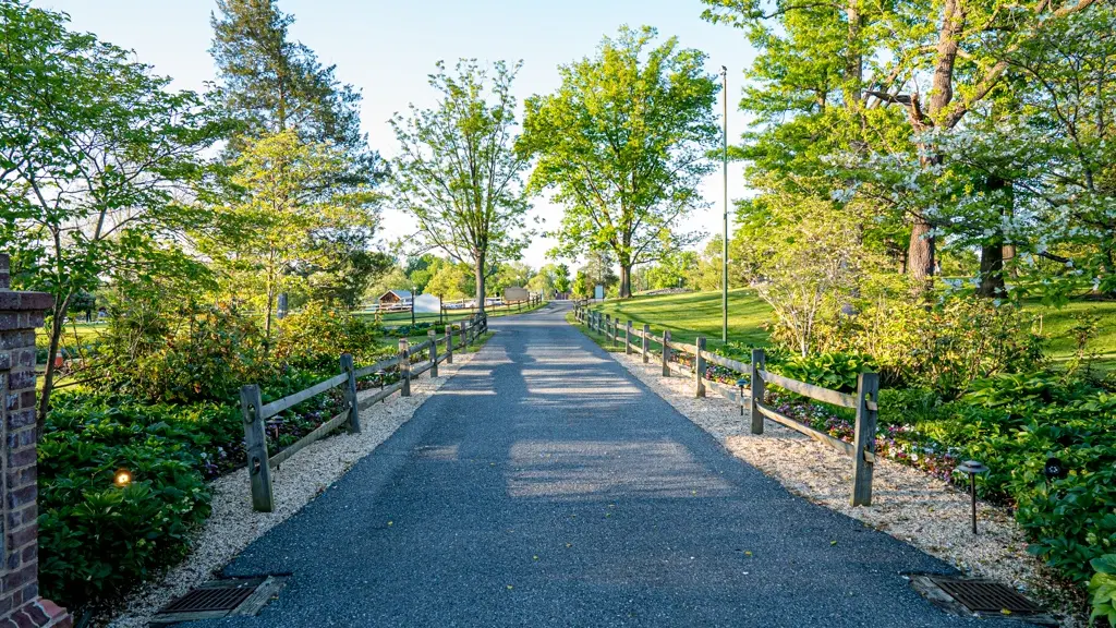 Driveway to mnasion entrance.