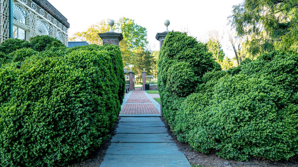 Outdoor walkway at Newton White.