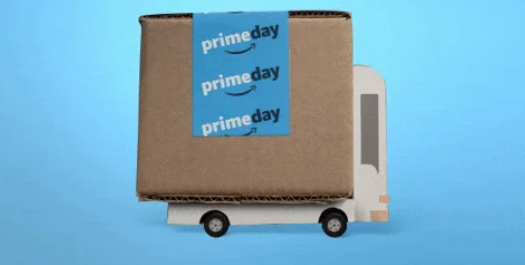 Prime Day pandemonium 😵‍💫