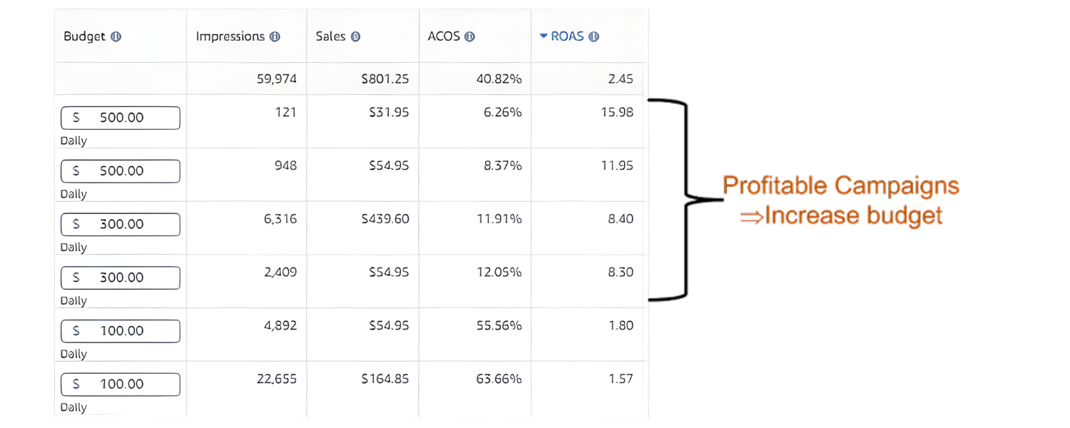 Amazon PPC Table showing set campaign budget and RoAS