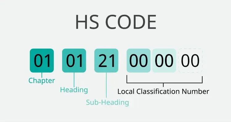 A diagram titled HS CODE breaks down a 12-digit sequence into four categories: Chapter (first two digits), Heading (next two), Sub-Heading (next two), and Local Classification Number (final six digits). The color gradients from dark teal to light mint emphasize the increasing specificity of each numerical section.